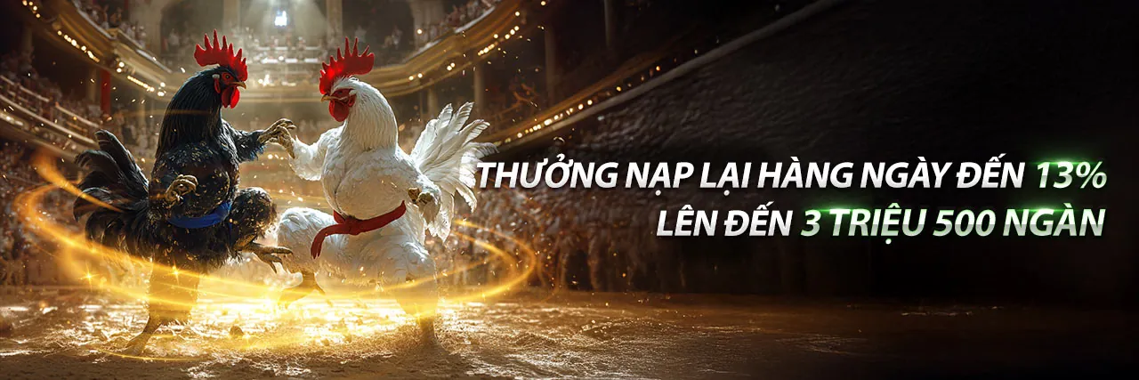 Trường đấu gà trực tuyến min88 cc với khán đài sôi động
